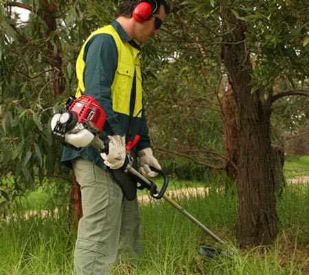 Honda UMK435L Brushcutter