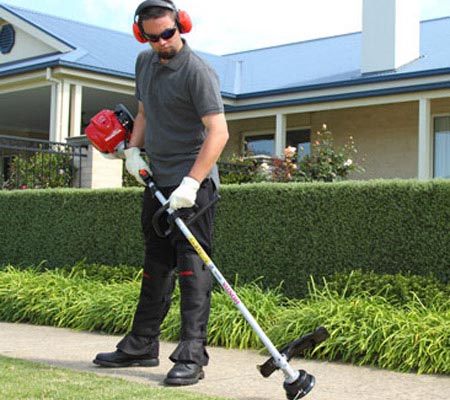 Honda UMK425L Brushcutter